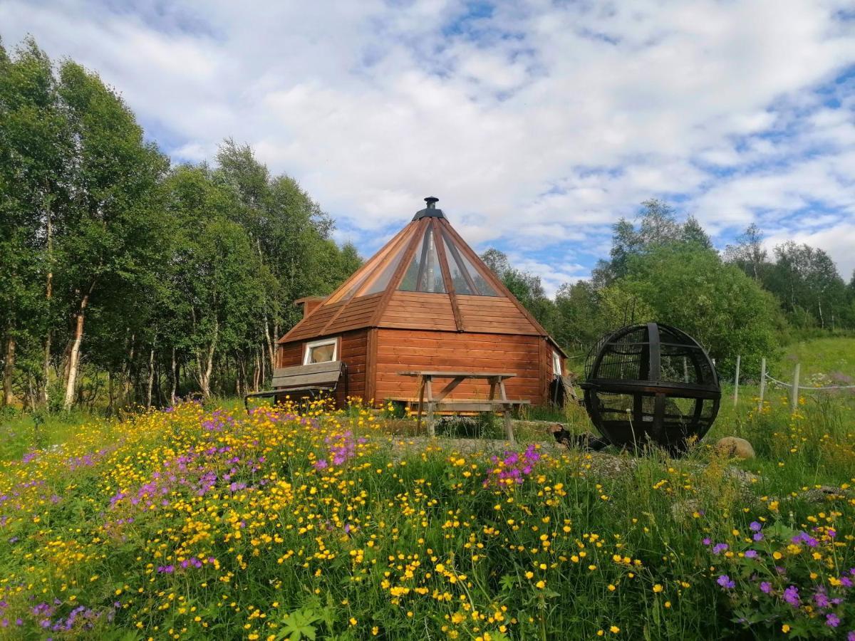 Hessdalen Ufocamp Appartement Vårhus Buitenkant foto